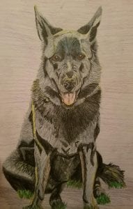 “Reese” in Colored Pencil by Kim Blaney